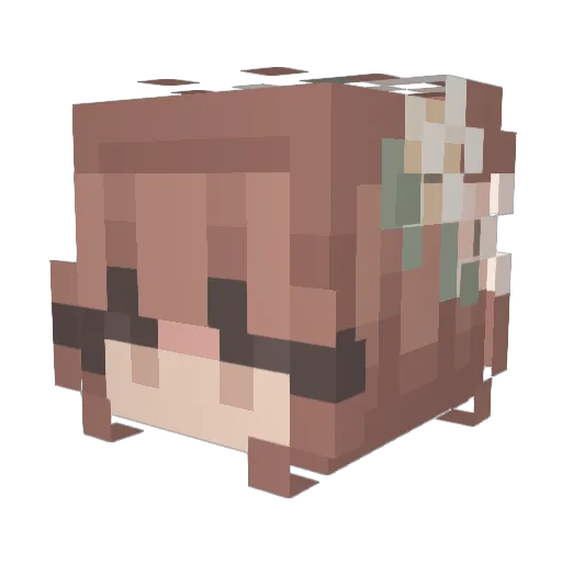 Flipperattack Minecraft avatar head, 3D render