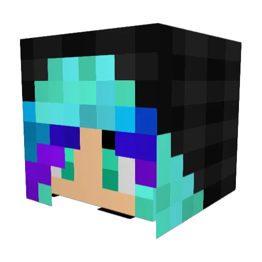 Flippie1 Minecraft avatar head, 3D render