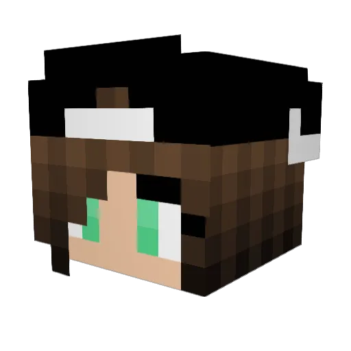 FlippinAubrey Minecraft avatar head, 3D render