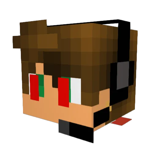 Flippin_YT Minecraft avatar head, 3D render