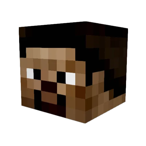 Flippindave Minecraft avatar head, 3D render