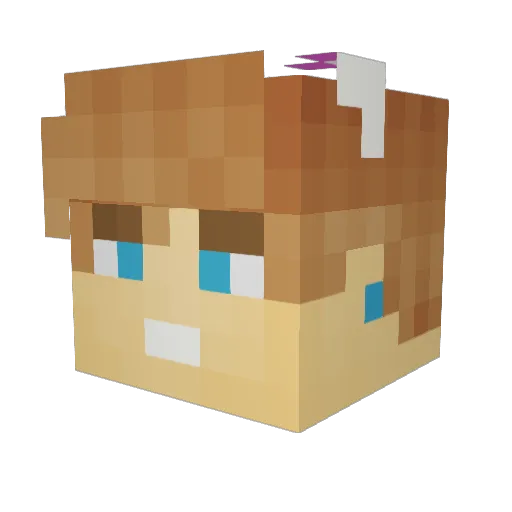 FlippityFlapJack Minecraft avatar head, 3D render