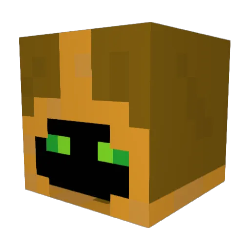 FlippmasterXD Minecraft avatar head, 3D render