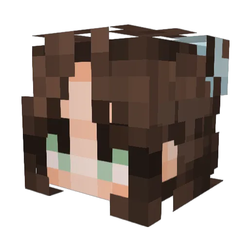 Flipppo Minecraft avatar head, 3D render