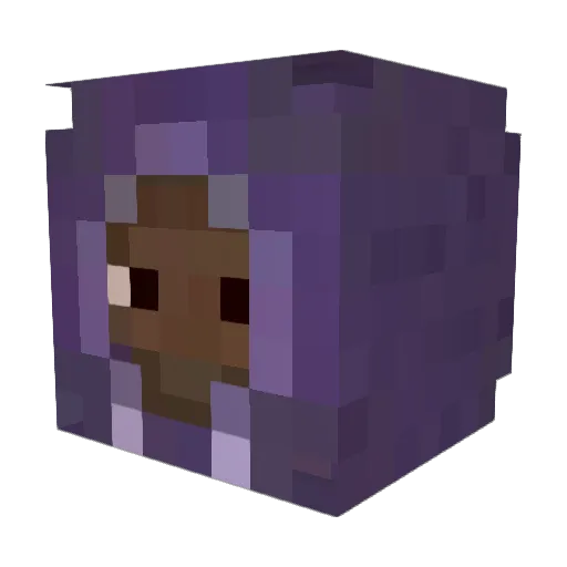 Flippy15cm Minecraft avatar head, 3D render