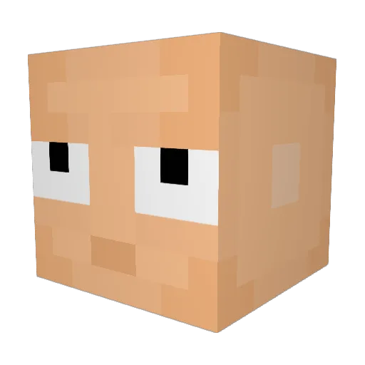 FlippyBippy Minecraft avatar head, 3D render