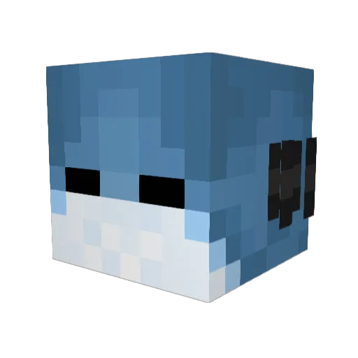 FlippyWell Minecraft avatar head, 3D render