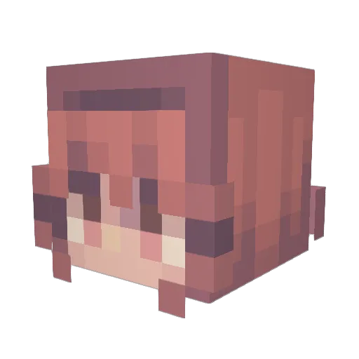 Fliprr Minecraft avatar head, 3D render