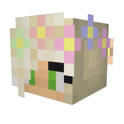 Flips905 Minecraft avatar head, 3D render
