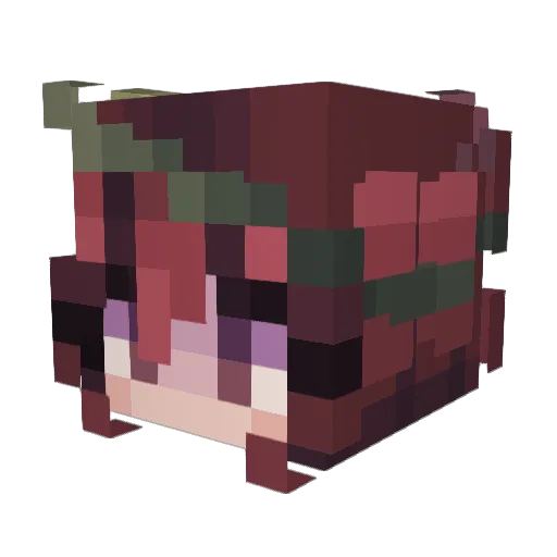 Flipsea Minecraft avatar head, 3D render