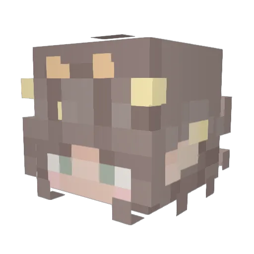 Flipsie_ Minecraft avatar head, 3D render