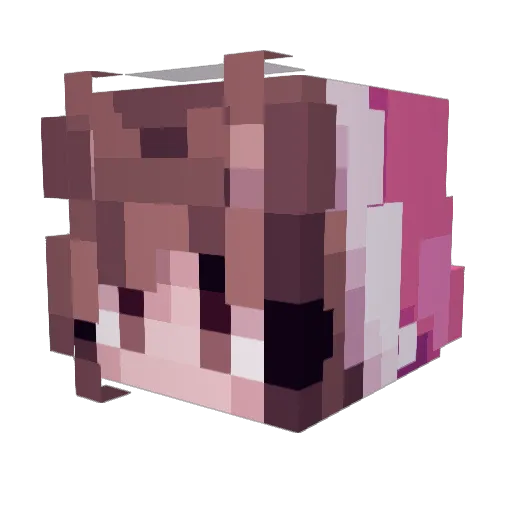 Flipsy529 Minecraft avatar head, 3D render