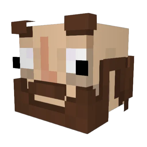 Flipt11 Minecraft avatar head, 3D render