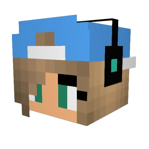 Flisan03 Minecraft avatar head, 3D render
