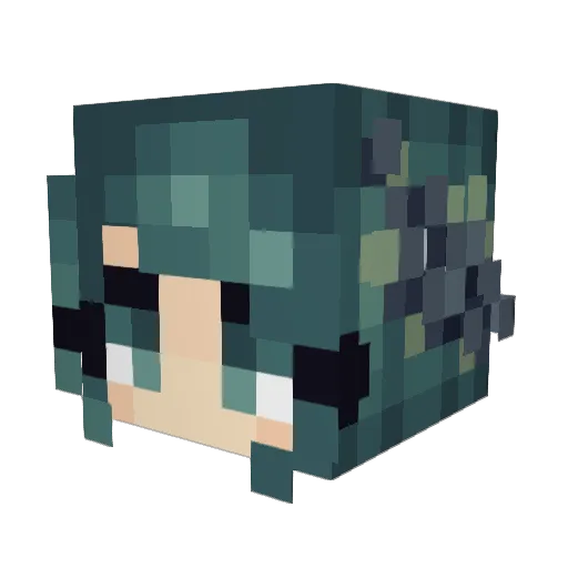 FlisanMC Minecraft avatar head, 3D render