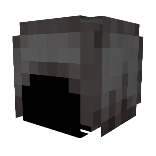 Flish1 Minecraft avatar head, 3D render