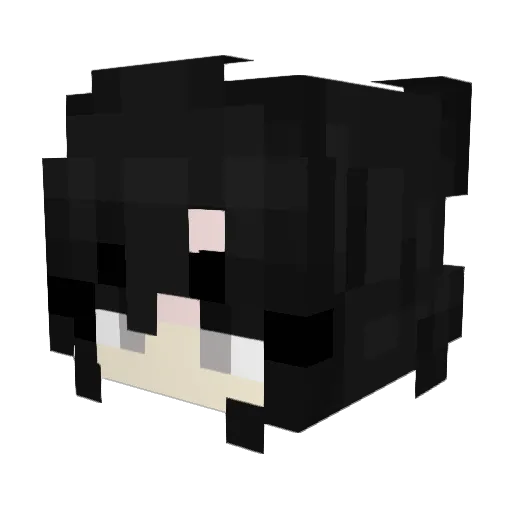 Flishie Minecraft avatar head, 3D render