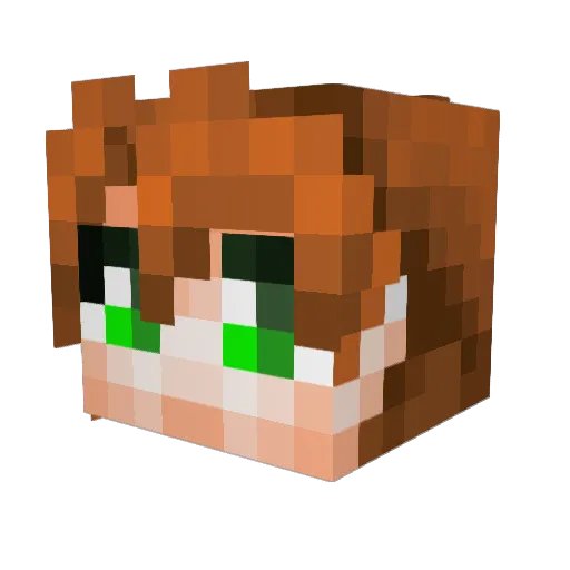 FlitschFisch Minecraft avatar head, 3D render