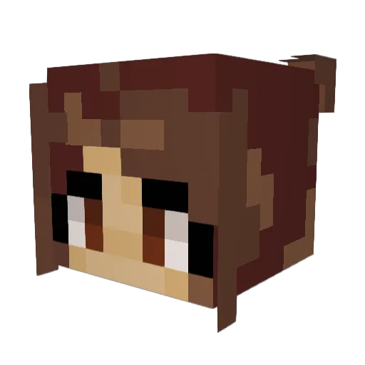 Flitzi2010 Minecraft avatar head, 3D render