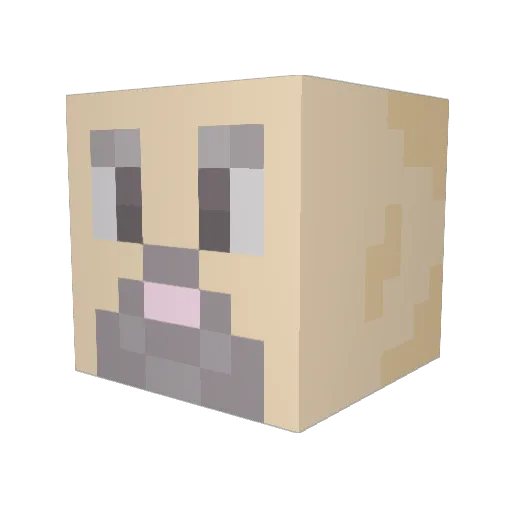 Flitzi Minecraft avatar head, 3D render