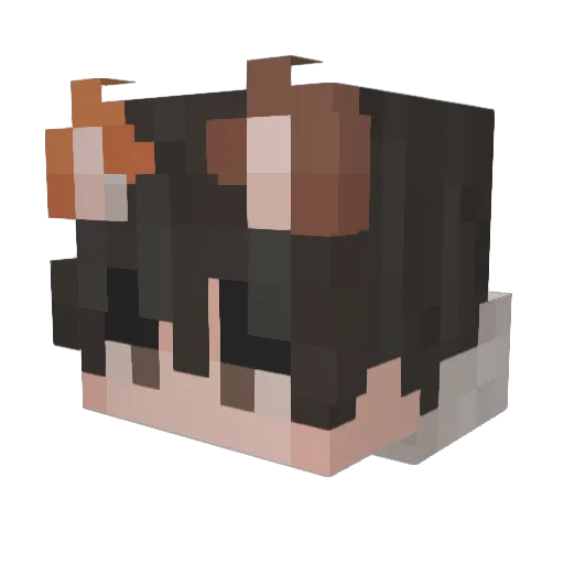 Flivster Minecraft avatar head, 3D render