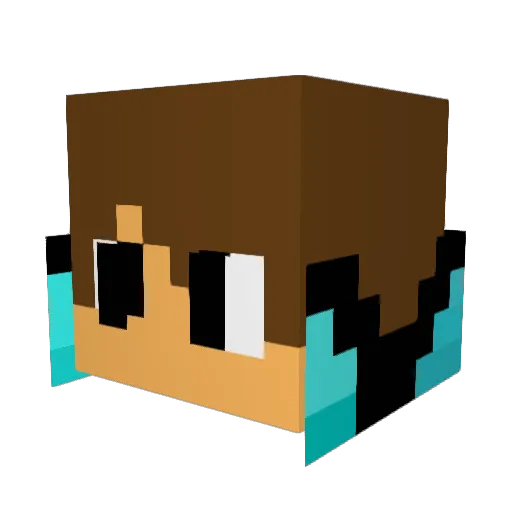 FlixTBXG Minecraft avatar head, 3D render