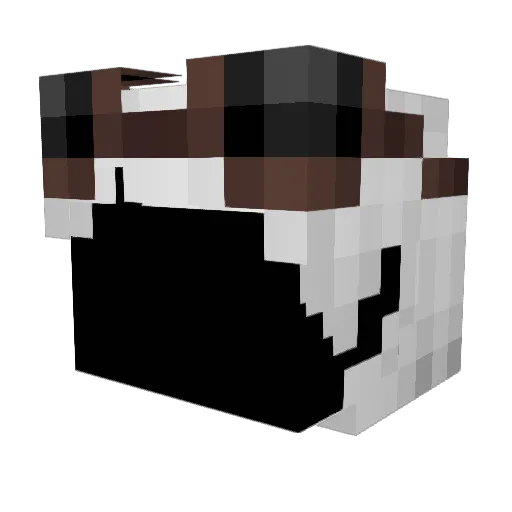 Flixador Minecraft avatar head, 3D render