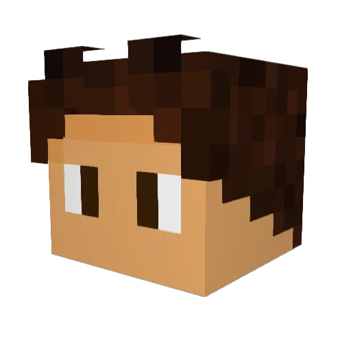 Flixbus16 Minecraft avatar head, 3D render