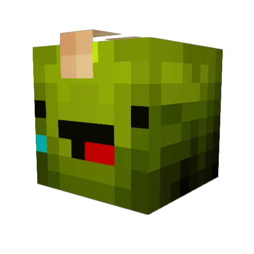 Flixen0311 Minecraft avatar head, 3D render