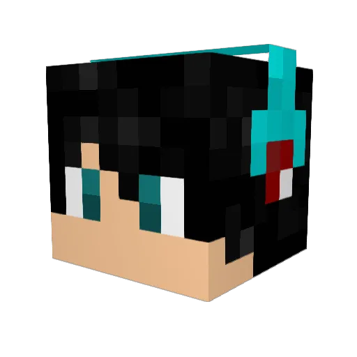 FlixionYT Minecraft avatar head, 3D render