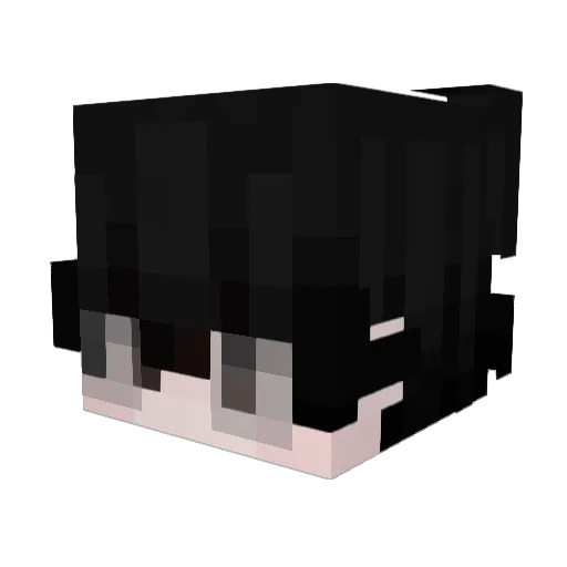 Flixxer_ Minecraft avatar head, 3D render