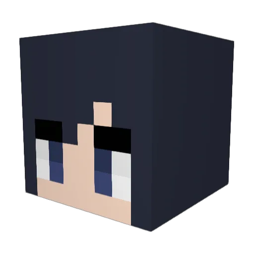 Flixxy1 Minecraft avatar head, 3D render