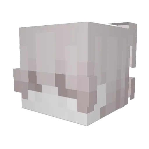 Flixy_0 Minecraft avatar head, 3D render