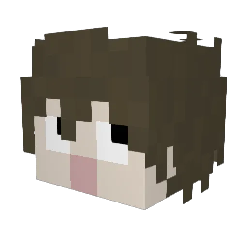 FlizzyYt Minecraft avatar head, 3D render