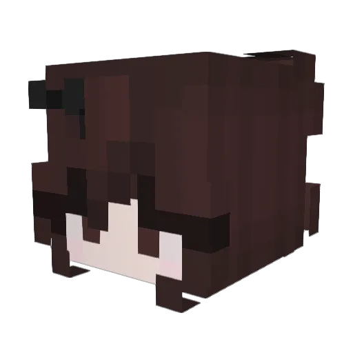 Fll0099 Minecraft avatar head, 3D render