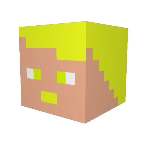 Fllames Minecraft avatar head, 3D render