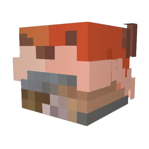 Fllexis Minecraft avatar head, 3D render