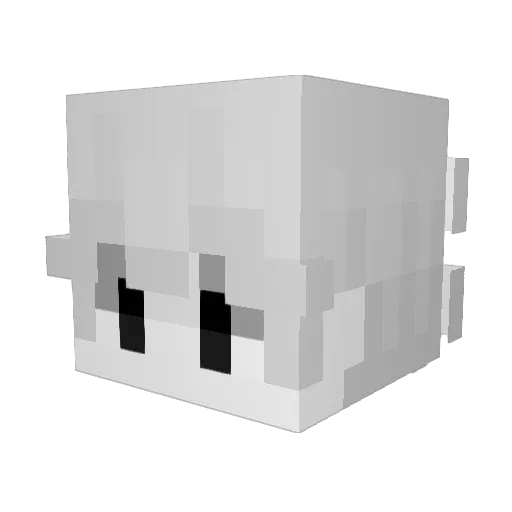 Flloorian Minecraft avatar head, 3D render