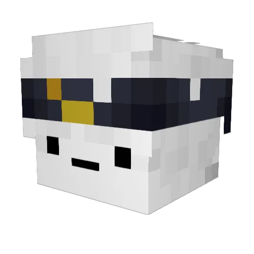 Flluxi Minecraft avatar head, 3D render