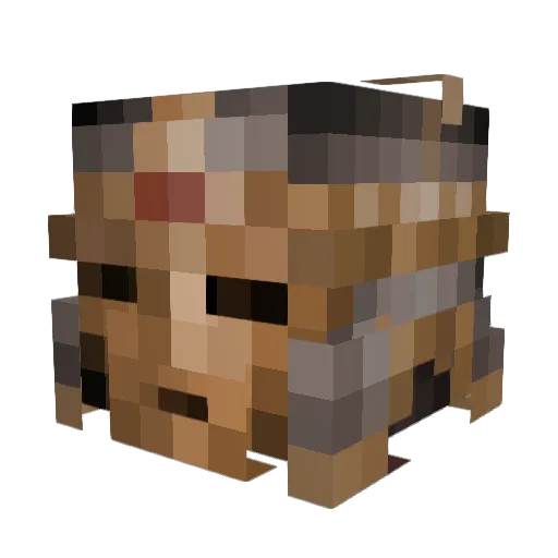 Flnb Minecraft avatar head, 3D render