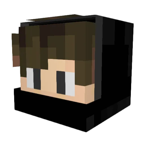 Flo144 Minecraft avatar head, 3D render