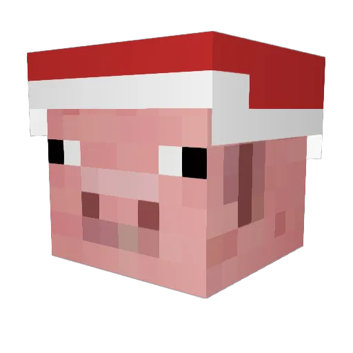 Flo1572 Minecraft avatar head, 3D render