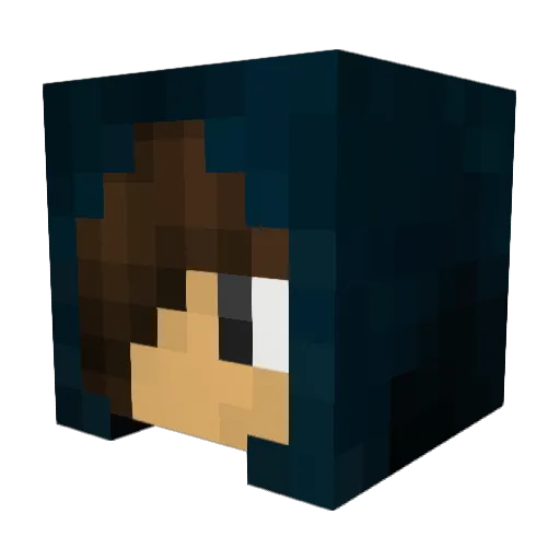 Flo170154 Minecraft avatar head, 3D render