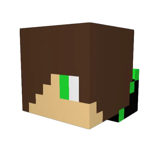 Flo2211 Minecraft avatar head, 3D render