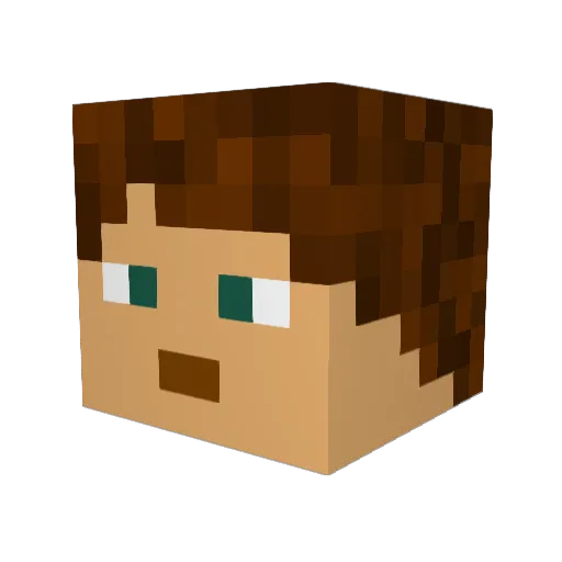 Flo283 Minecraft avatar head, 3D render