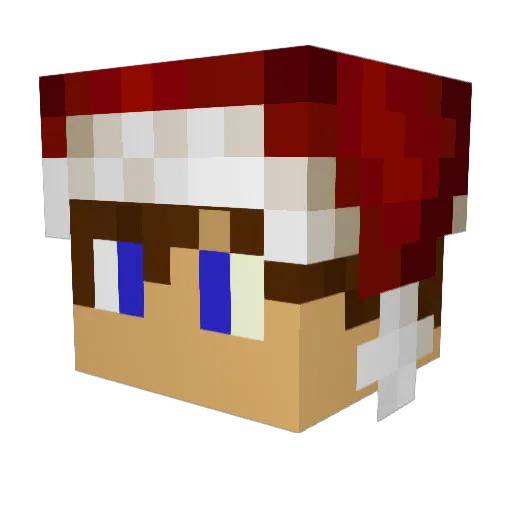 Flo37310 Minecraft avatar head, 3D render