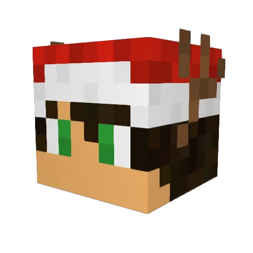 Flo500000 Minecraft avatar head, 3D render