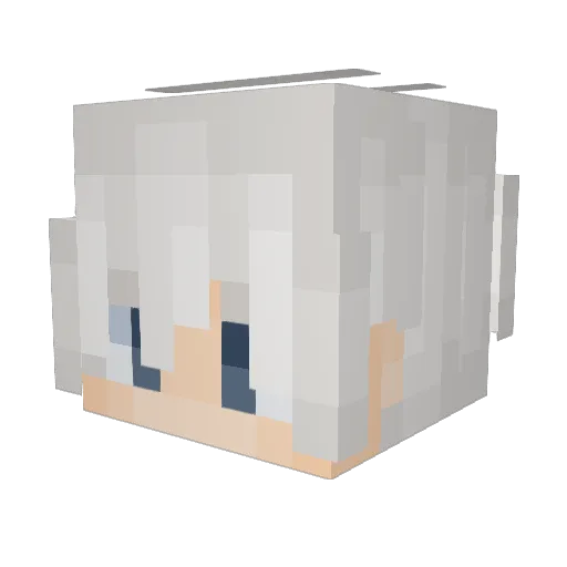 FloBelen Minecraft avatar head, 3D render
