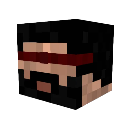 FloBlocker Minecraft avatar head, 3D render
