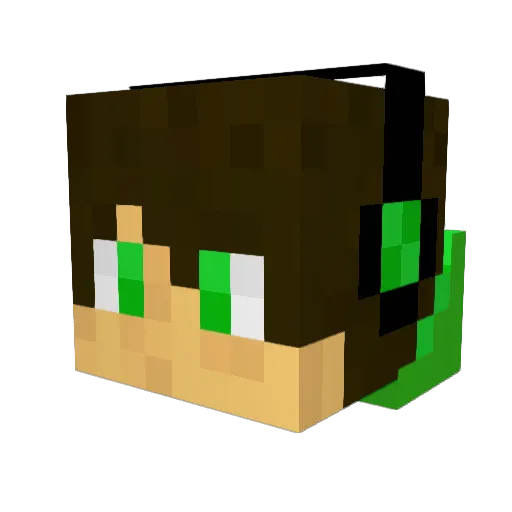 FloBroMC Minecraft avatar head, 3D render